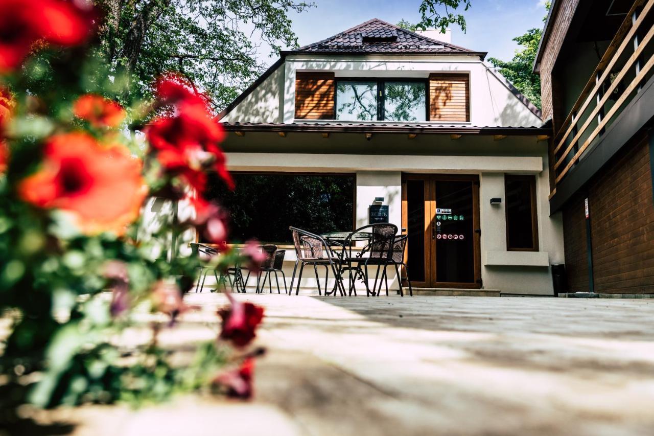 Mer Guest House B&B Brașov Exterior foto